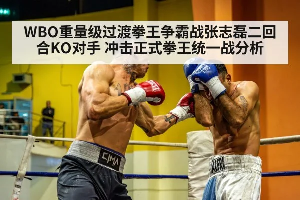 WBO重量级过渡拳王争霸战张志磊二回合KO对手 冲击正式拳王统一战分析